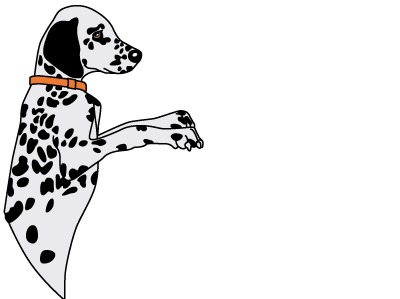 Minas Hundeschule